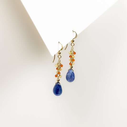 Kyanite Earrings with Carnelian Dewdrops